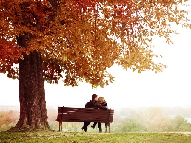 Young Couple Kissing on a Bench under the Huge Chestnut .